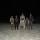 39- Expedition ponte de tortues 